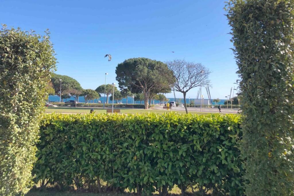 شقة Edifici Ciutadella كامبريلس المظهر الخارجي الصورة